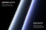 Diode Dynamics LED Bulbs (GBFG-DD2291)