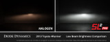 Diode Dynamics LED Bulbs (GBFG-DD0642P)