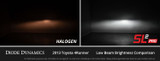 Diode Dynamics LED Bulbs (GBFG-DD0481S)