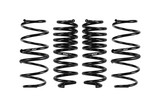 Set of 4 Springs (DMWF-E10-35-057-02-22)