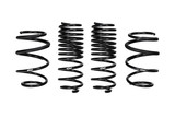 Set of 4 Springs (DMWF-E10-40-043-01-22)