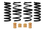 Set of 4 Springs (DMWF-E10-35-054-03-22)