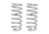 Set of 2 Springs (DMWF-E30-23-032-01-20)