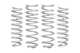 Set of 4 Springs (DMWF-E30-27-011-01-22)