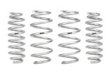 Set of 4 Springs (DMWF-E30-35-049-01-22)