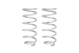 Set of 2 Springs (DMWF-E30-51-024-03-02)