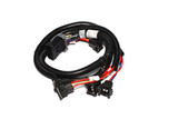 XFI Modular Inj