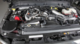 Performance Air Intake System (BBWQ-57-2582)