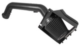 Performance Air Intake System (BBWQ-71-2584)
