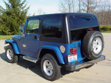 Bumper (DFWH-30487)