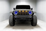 Headlight Assembly (FQCV-5839-335)