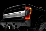 Tail light Assembly (FQCV-5896-504)