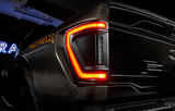 Tail light Assembly (FQCV-5910-504)
