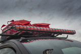 LED LIGHT (FLWB-230413)