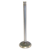 Exhaust Valve (BKMN-33003860)