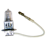Bulb (BKMN-4713586)