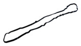 Valve Cover Gasket (BKMN-4893804AB)