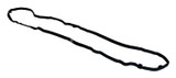 Valve Cover Gasket (BKMN-4893805AB)