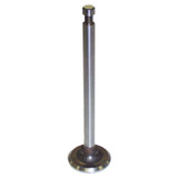 Intake Valve (BKMN-637182)