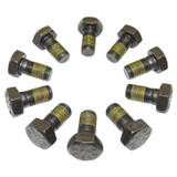 Ring Gear Bolt Kit (BKMN-68035573AA)