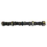 Camshaft (BKMN-83500249)