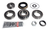 Diff Overhaul Kit