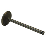 Intake Valve (BKMN-J3182585)