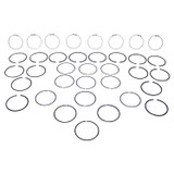 Piston Ring Set (BKMN-J3208066)