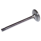 Intake Valve (BKMN-J3218732)