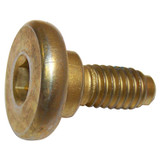 Brake Caliper Screw