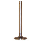 Intake Valve (BKMN-J3240768)