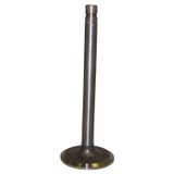 Intake Valve (BKMN-J3240167)