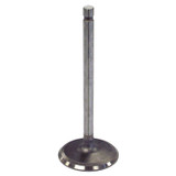Intake Valve (BKMN-J3242659)