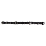 Camshaft (BKMN-J8133009)