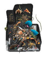 2nd Seat Floor Liner (BBVR-70451)