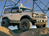 SLIMLITE SPOT 2-LIGHT DITCH SYS BRONCO