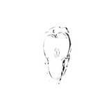 LENS FLEX ERA 3 SAE CLEAR