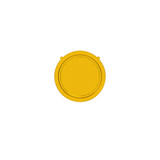 FLEX ERA 1 LENS FLOOD PERFORMANCE YELLOW