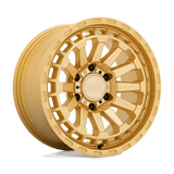 RAID (DWJH-1895RAD186114Z76)