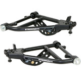 Lower Strong Arms, Front (CNTV-11012899)