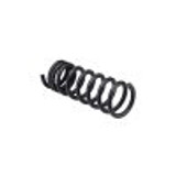 Coil Spring (BKWS-SSC-25)