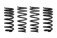 Set of 4 Springs (DMWF-E10-25-040-01-22)