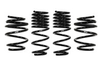 Set of 4 Springs (DMWF-E10-40-036-03-22)