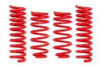 Set of 4 Springs (DMWF-E20-15-021-05-22)