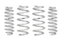 Set of 4 Springs (DMWF-E30-35-049-01-22)