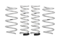 Set of 4 Springs (DMWF-E30-77-010-04-22)