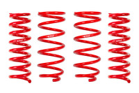 Set of 4 Springs (DMWF-E30-82-071-04-22)