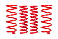 Set of 4 Springs (DMWF-E30-82-071-05-22)