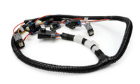 XFI EFI Coyote