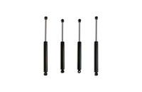 Shock Absorbers (FRFC-949832S)